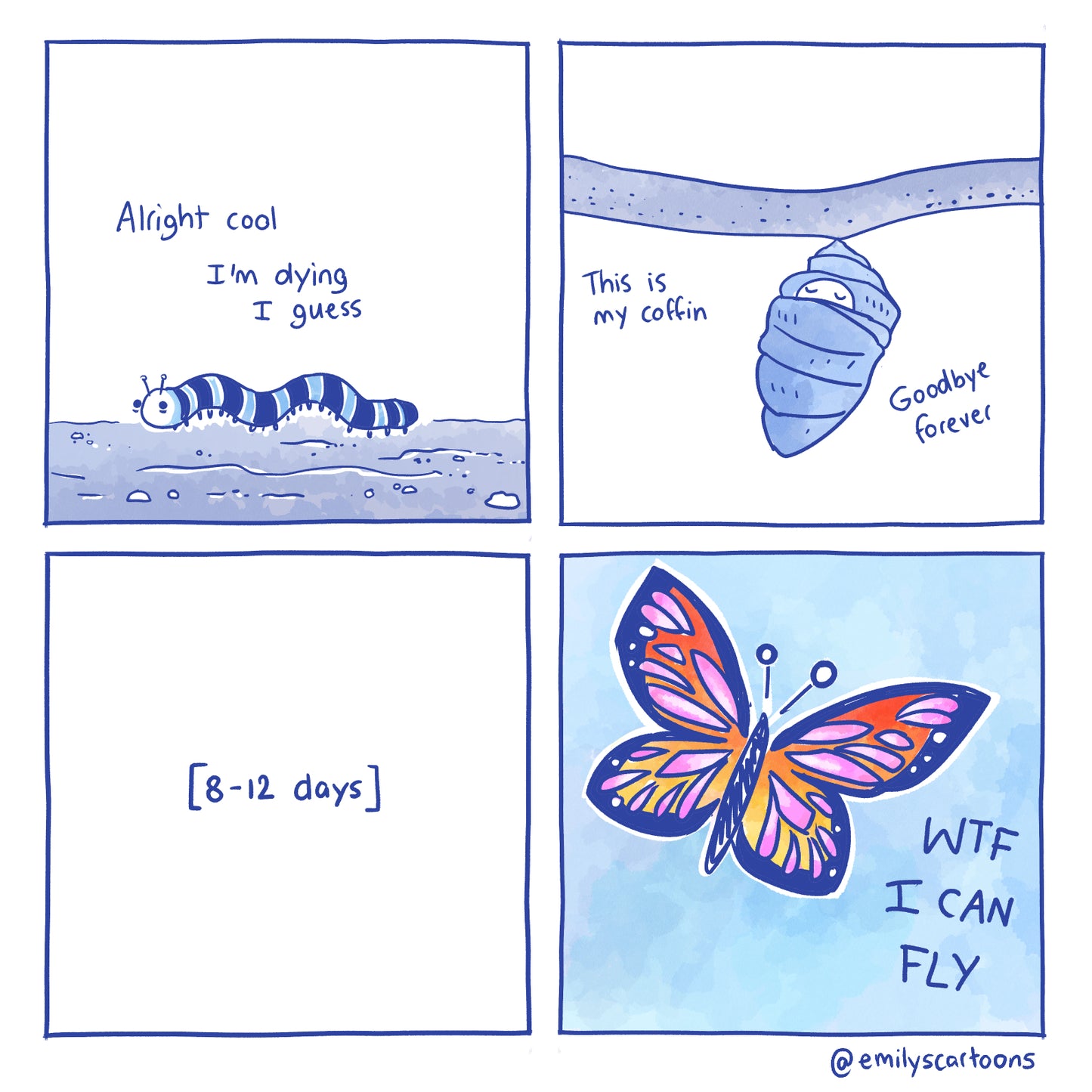 Butterfly - High quality A4 print
