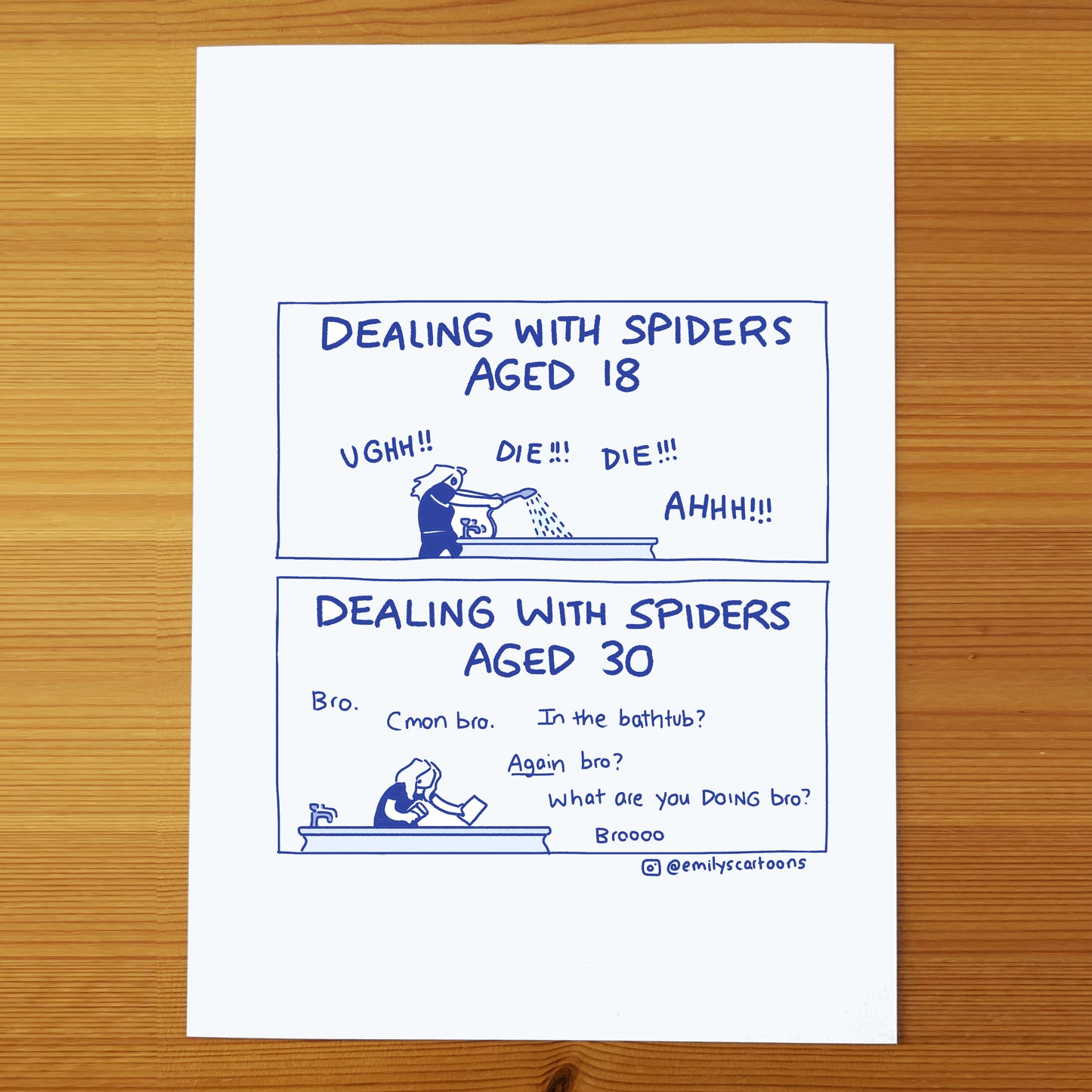 Dealing With Spiders - High quality A4 print