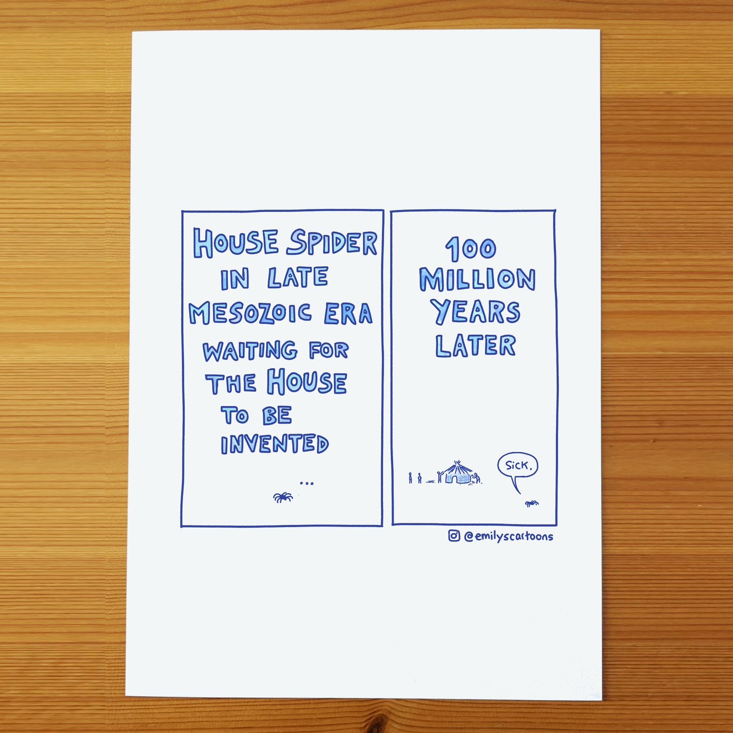 House Spider - High quality A4 print