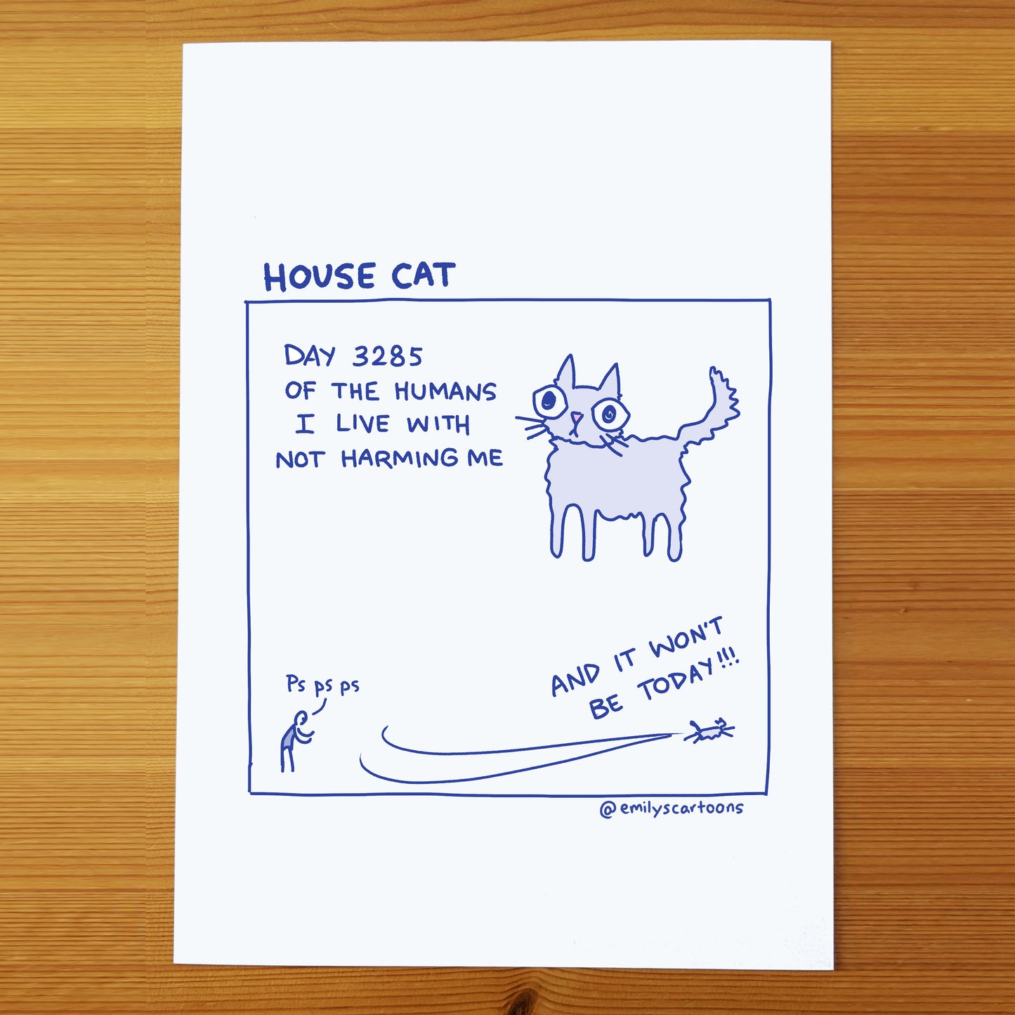 House Cat - High quality A4 print