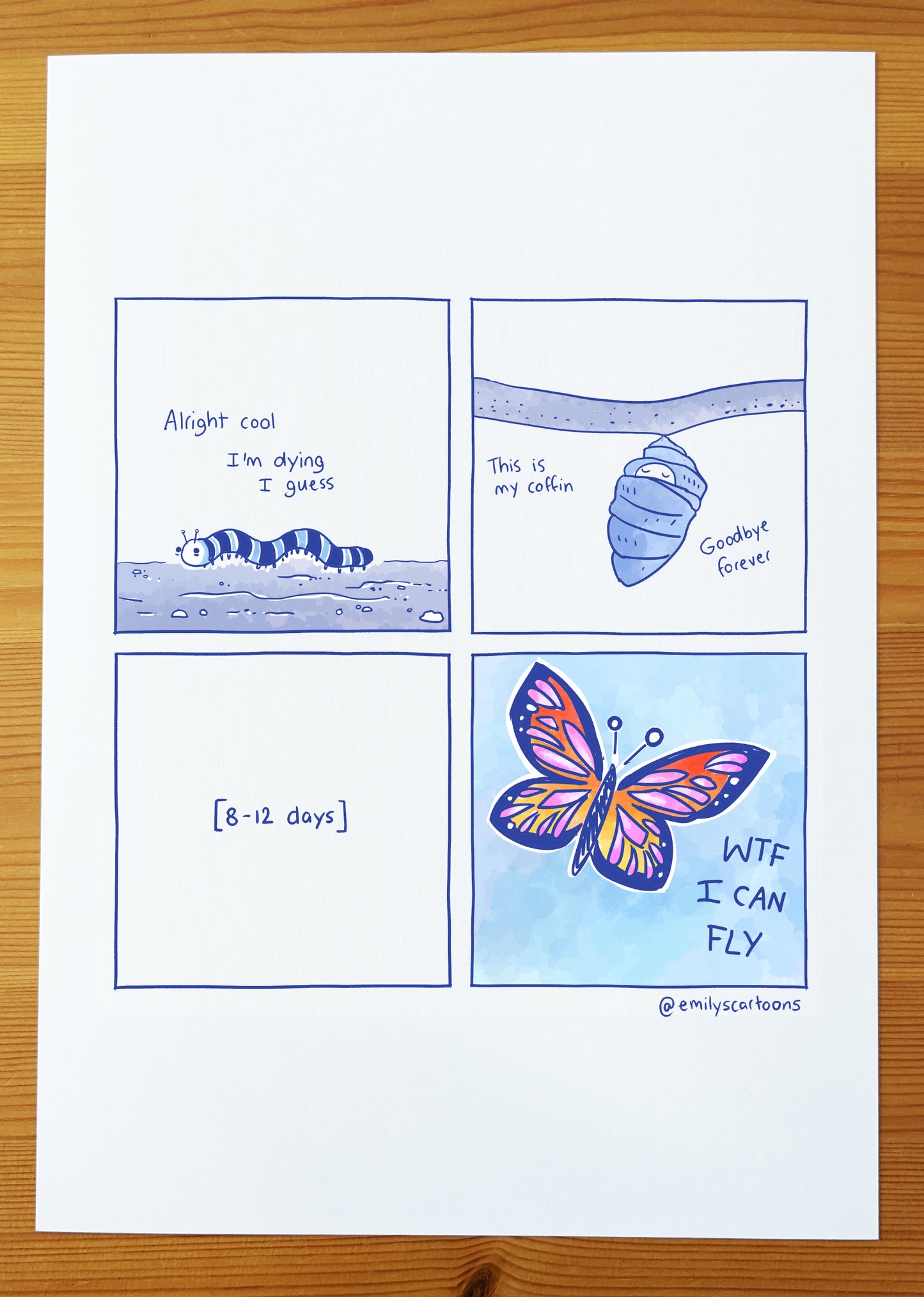 Butterfly - High quality A4 print