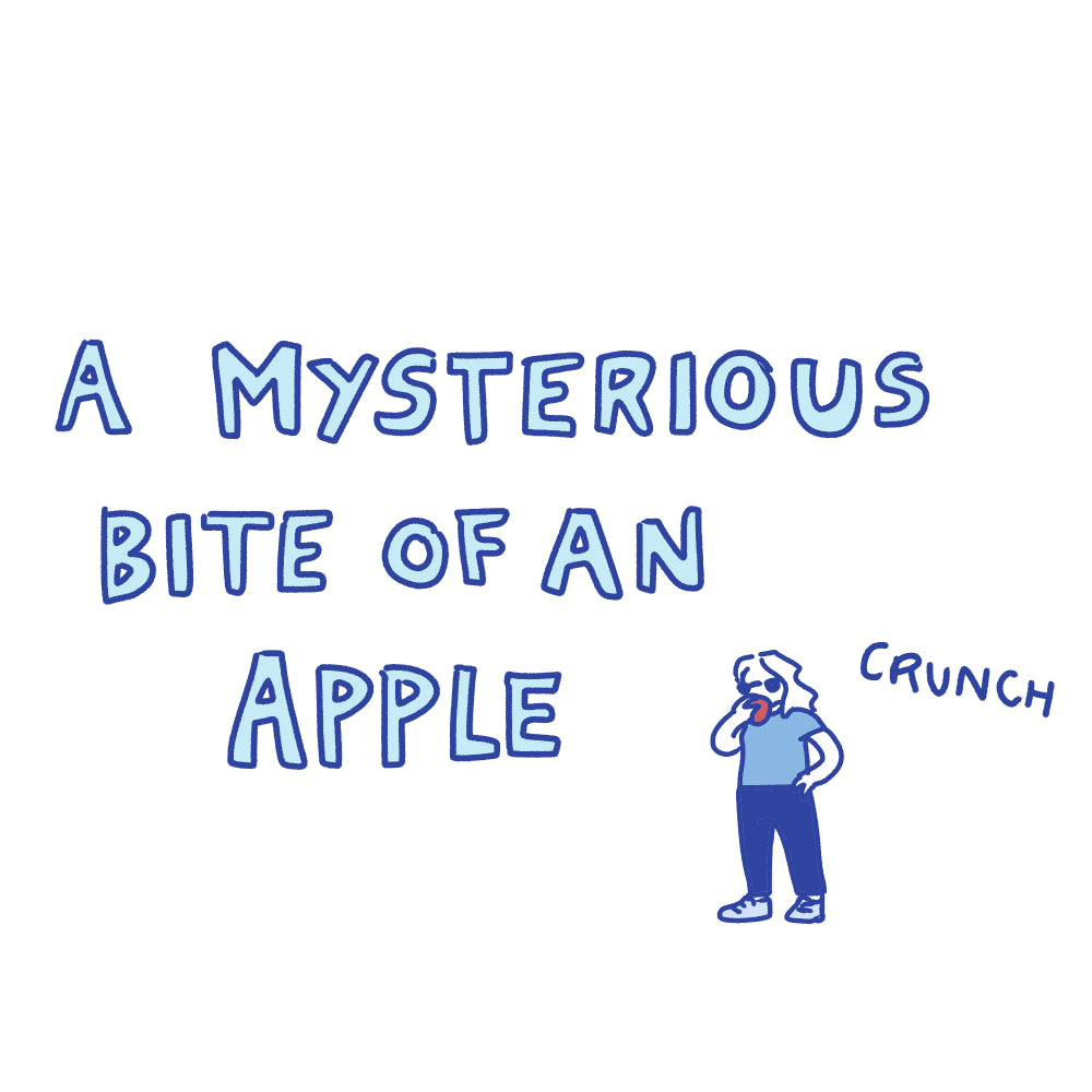 Emily's Cartoons: Selected Comics Booklet