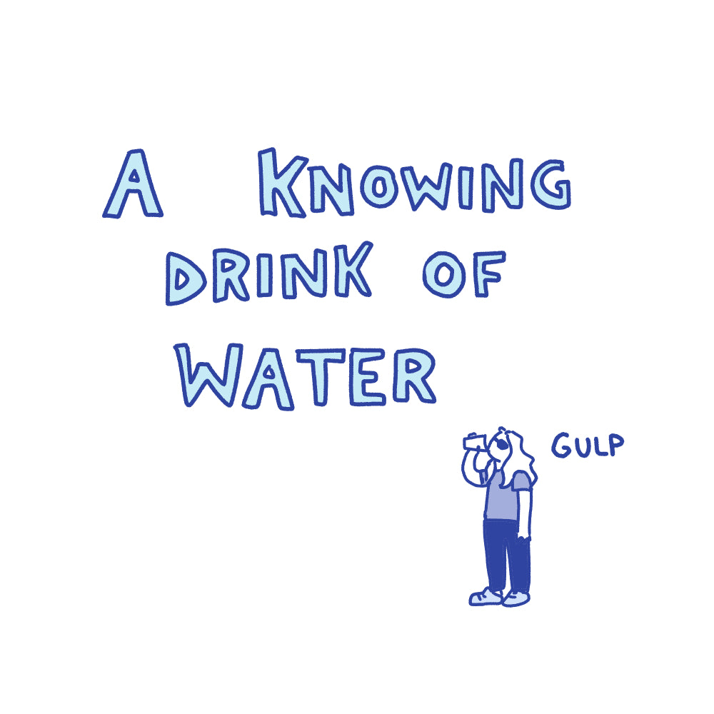 Emily's Cartoons: Selected Comics Booklet