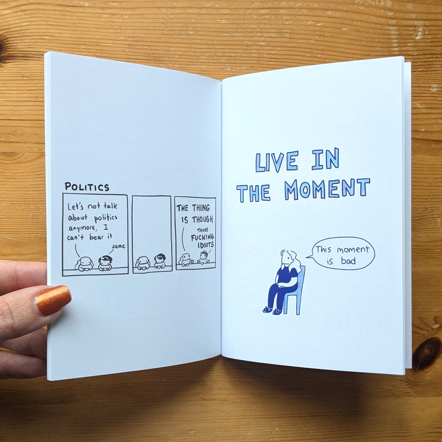 Emily's Cartoons: Selected Comics Booklet