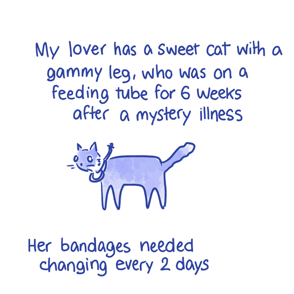 On Gardening & Fixing The Cat - Booklet