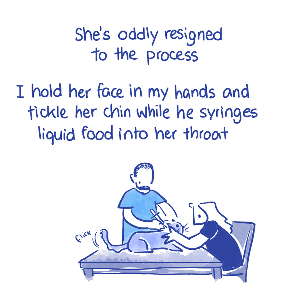 On Gardening & Fixing The Cat - Booklet