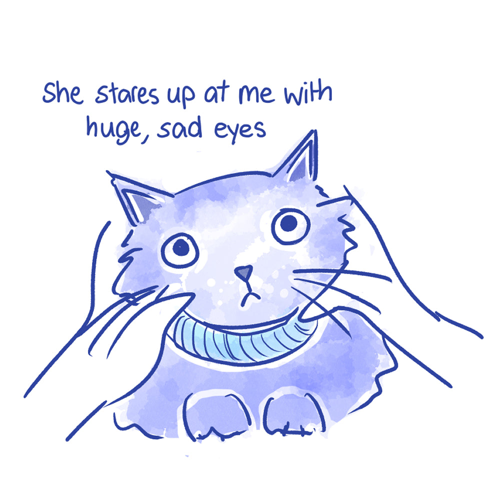 On Gardening & Fixing The Cat - Booklet