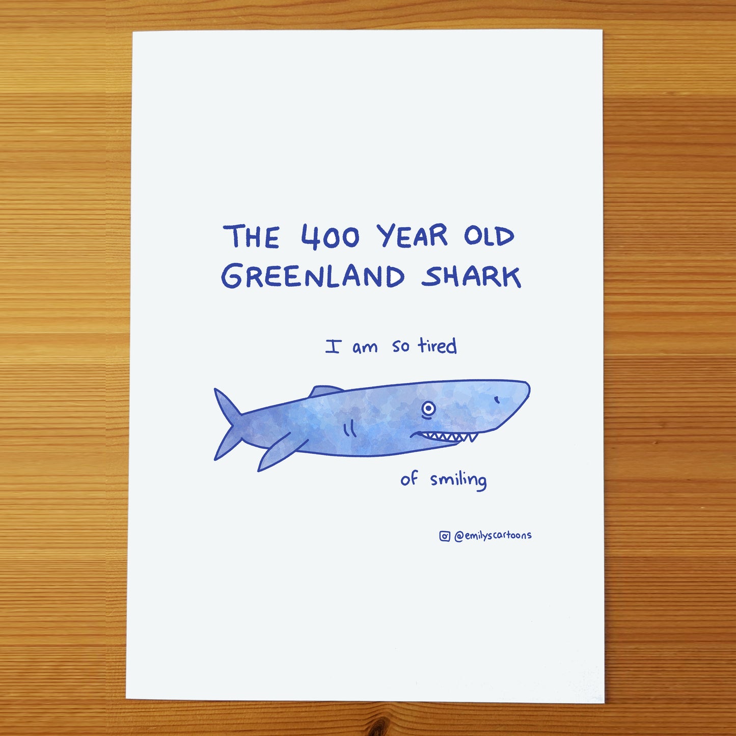 Greenland Shark- High quality A4 print