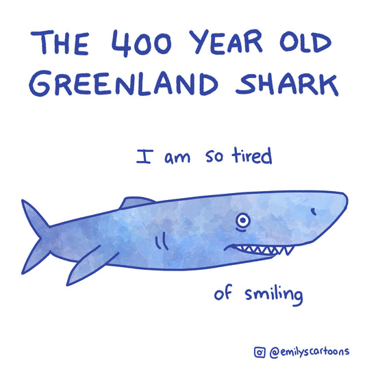 Greenland Shark- High quality A4 print