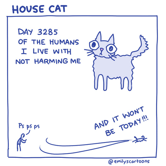 House Cat - High quality A4 print